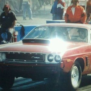 Meet your Posher, Wayne